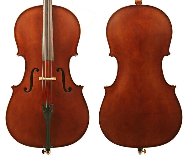 Enrico Student II Cello - 1/10 size - Dalseno String Studio