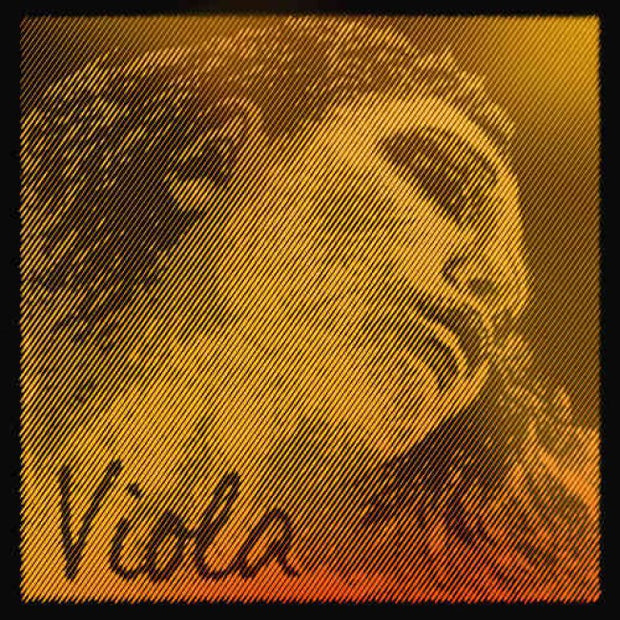 Evah Gold Viola String - Dalseno String Studio